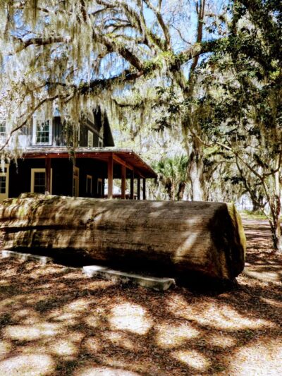 Santee Coastal Reserve - McClellanville, SC