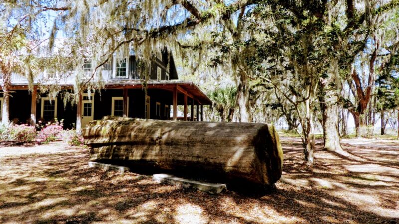Santee Coastal Reserve - McClellanville, SC
