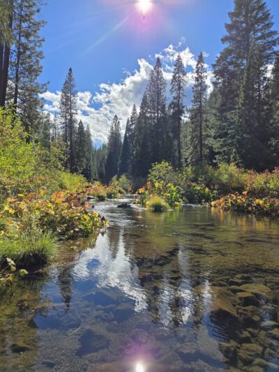 McCloud Area - McCloud, CA