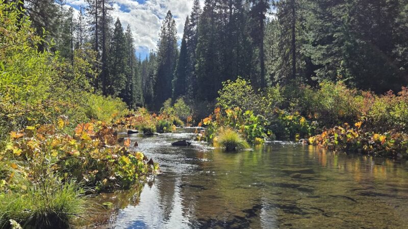 McCloud Area - McCloud, CA