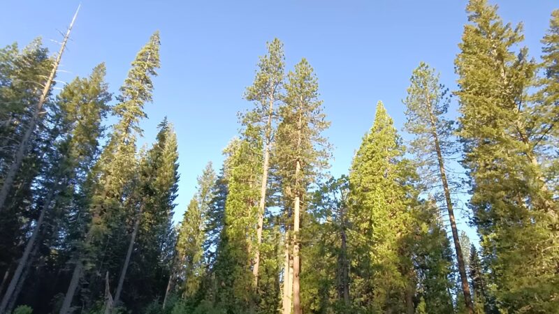 McCloud Swimming Hole - McCloud, CA