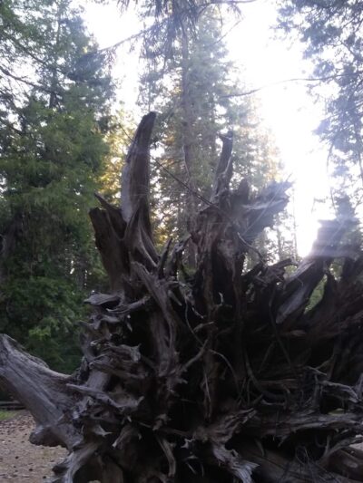 McCloud Swimming Hole - McCloud, CA