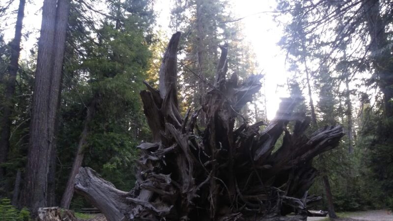 McCloud Swimming Hole - McCloud, CA