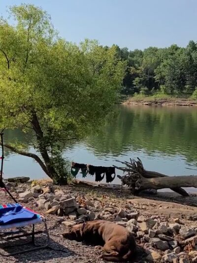 Laurel Branch Campground - McDaniels, KY
