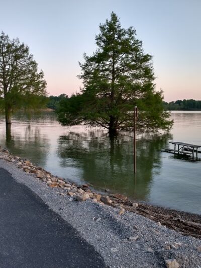 Laurel Branch Campground - McDaniels, KY
