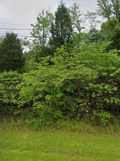 North Fork Campground - McDaniels, KY