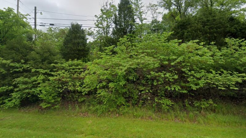 North Fork Campground - McDaniels, KY