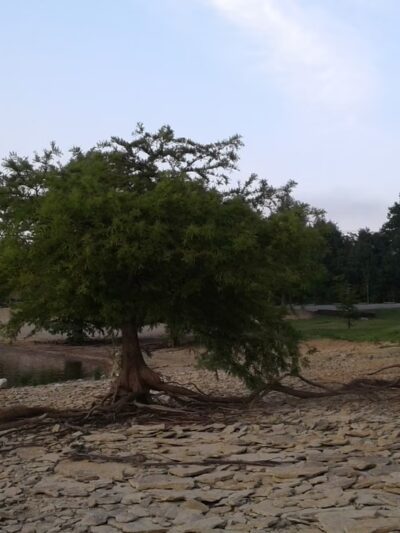 North Fork Campground - McDaniels, KY