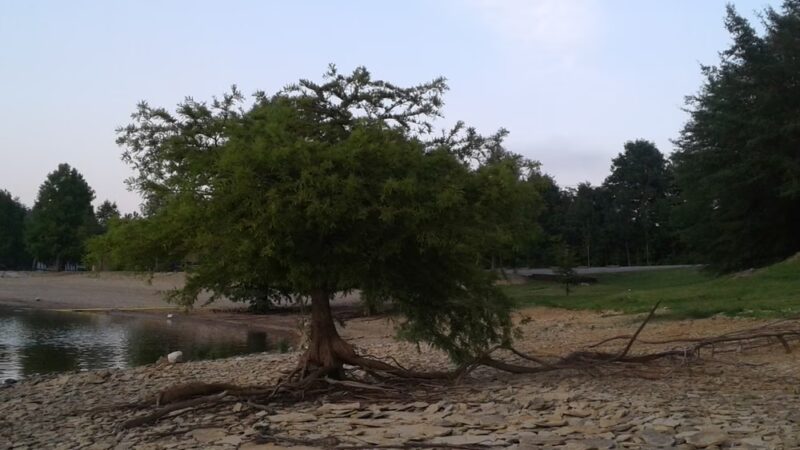 North Fork Campground - McDaniels, KY