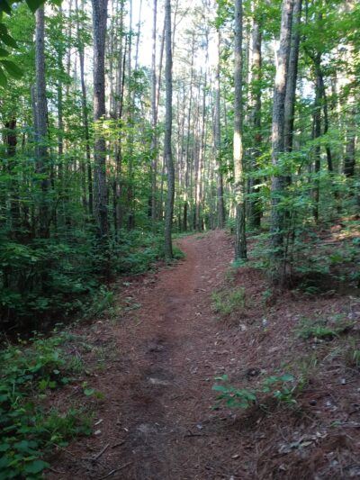 Johnston Woods Trailhead - McDonald, TN