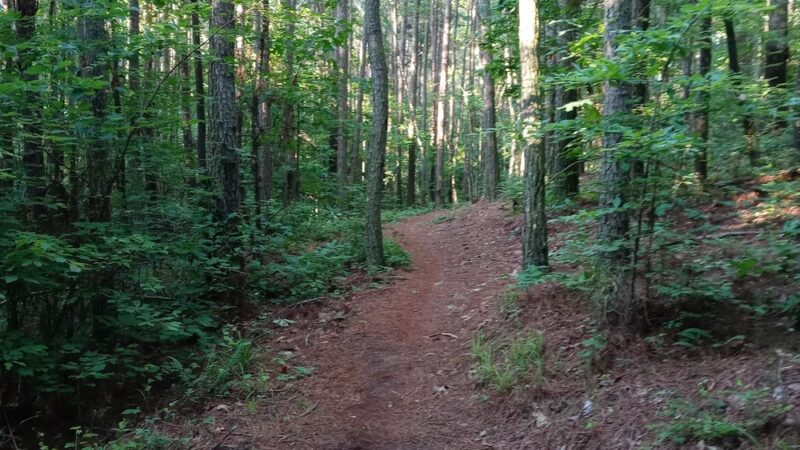 Johnston Woods Trailhead - McDonald, TN