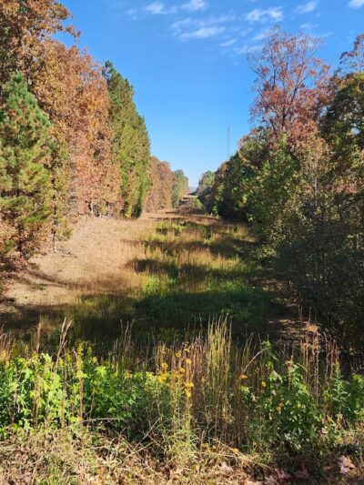 Johnston Woods Trailhead - McDonald, TN