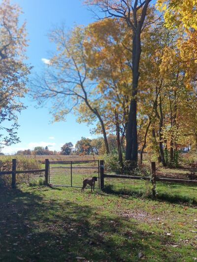 URSO Park - McFarland, WI