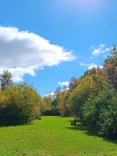 URSO Park - McFarland, WI