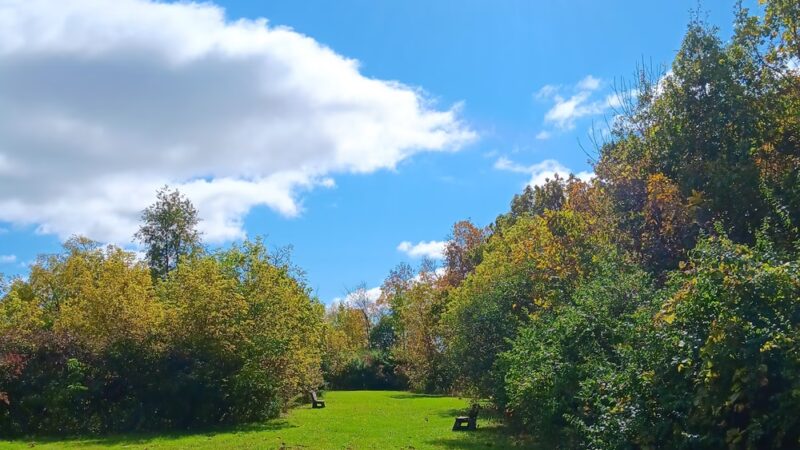 URSO Park - McFarland, WI