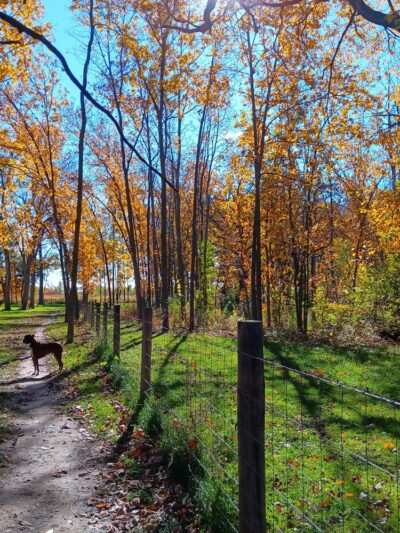 URSO Park - McFarland, WI