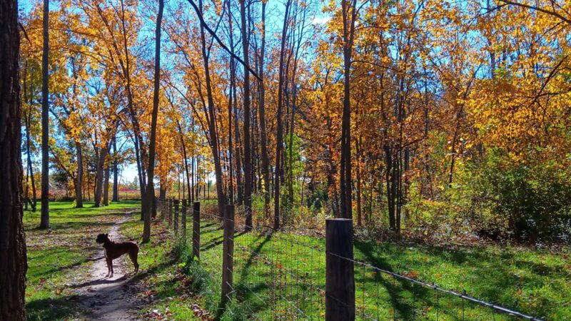 URSO Park - McFarland, WI