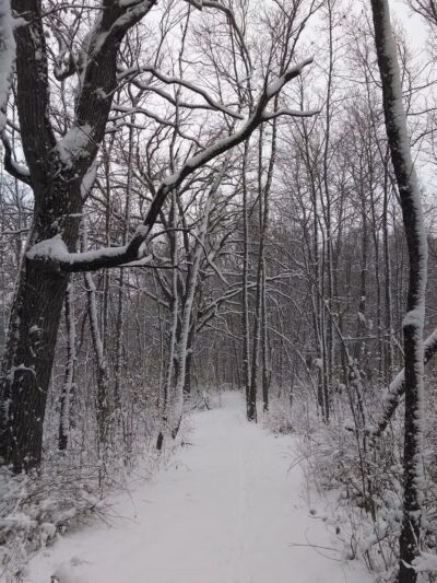 URSO Park - McFarland, WI