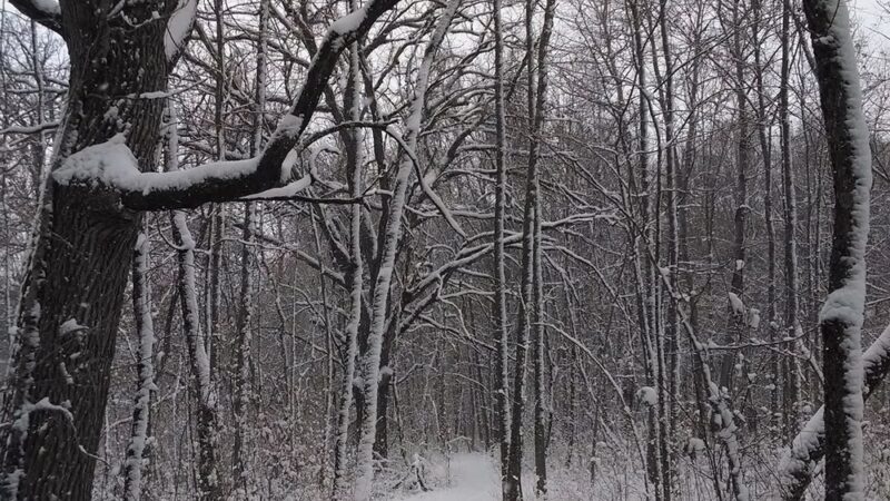 URSO Park - McFarland, WI