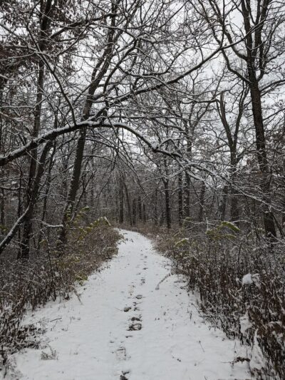 Northern Woods Junction Blue Loop Trailhead - McHenry, IL