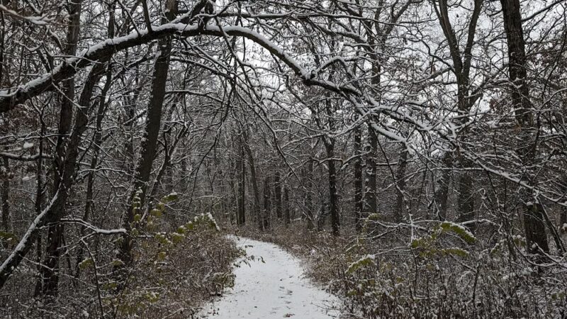 Northern Woods Junction Blue Loop Trailhead - McHenry, IL