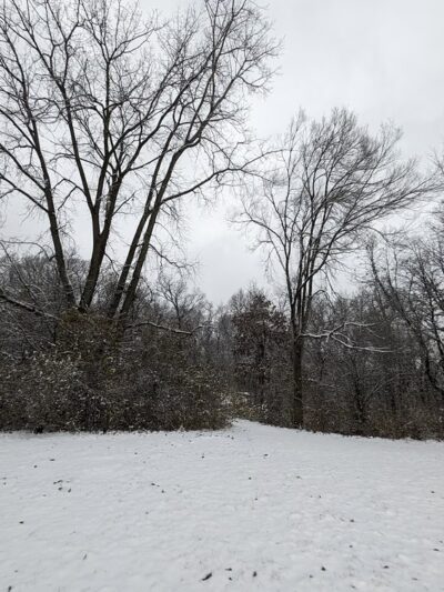 Northern Woods Junction Blue Loop Trailhead - McHenry, IL