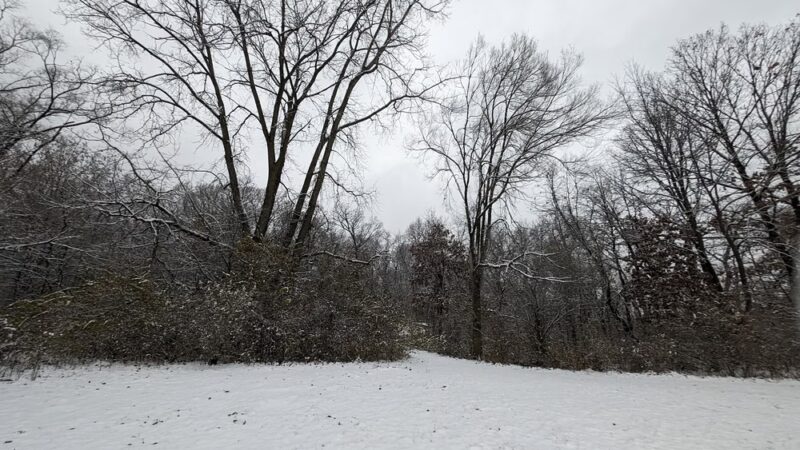 Northern Woods Junction Blue Loop Trailhead - McHenry, IL