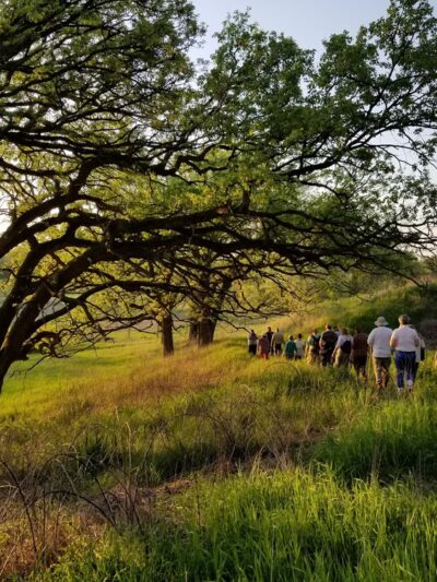 Stickney Run Conservation Area - McHenry, IL