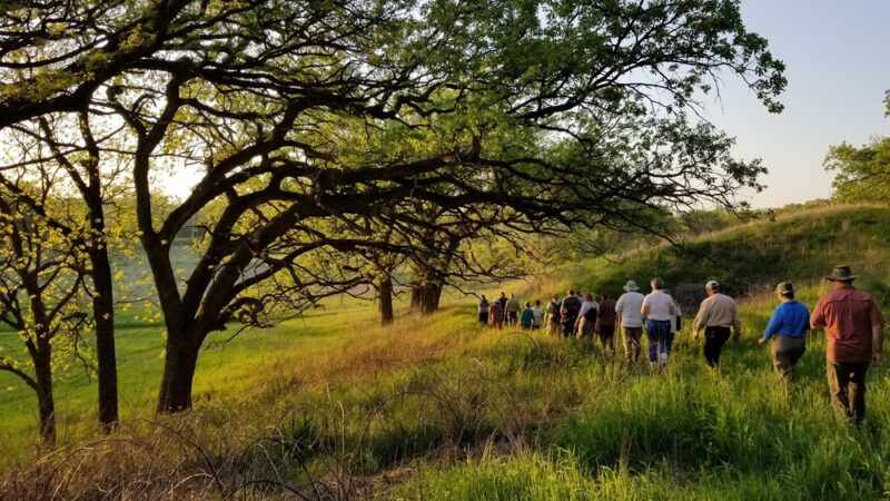 Stickney Run Conservation Area - McHenry, IL