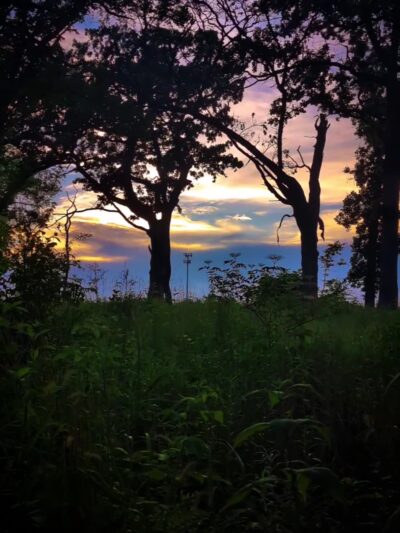 Stickney Run Conservation Area - McHenry, IL