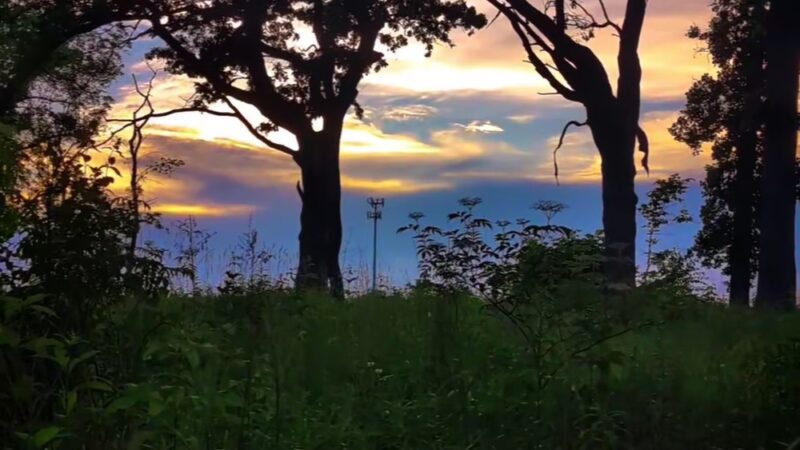 Stickney Run Conservation Area - McHenry, IL