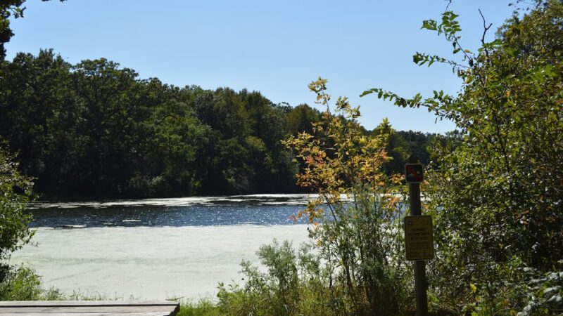Stickney Run Conservation Area - McHenry, IL