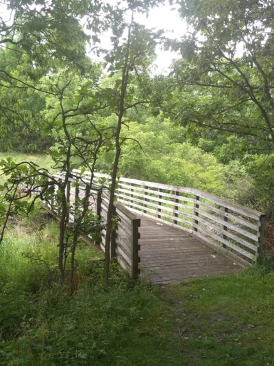 Stickney Run Conservation Area - McHenry, IL