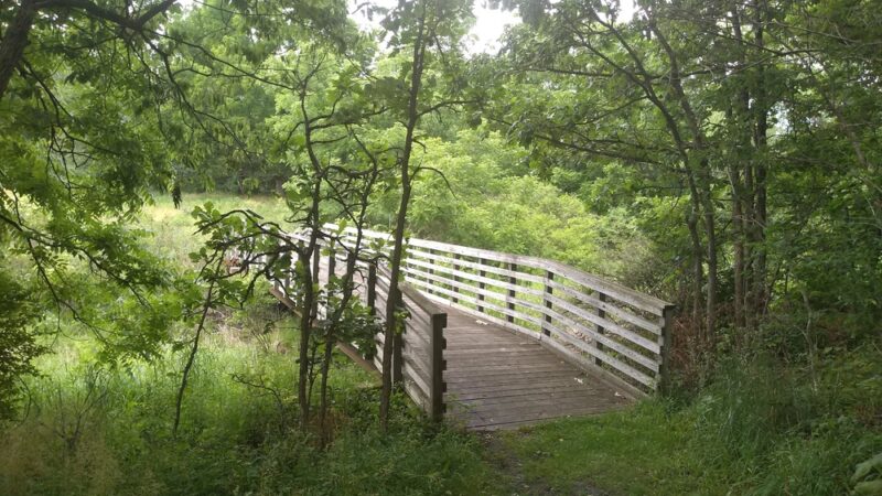 Stickney Run Conservation Area - McHenry, IL