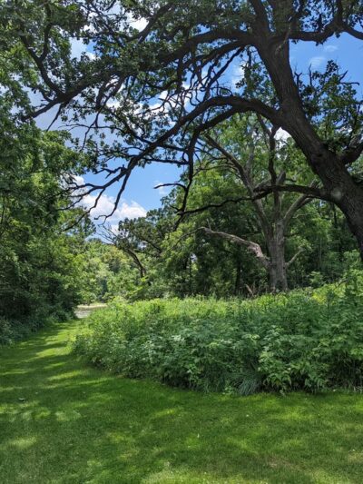 Stickney Run Conservation Area - McHenry, IL