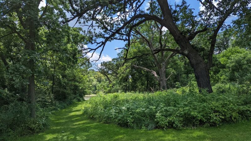 Stickney Run Conservation Area - McHenry, IL