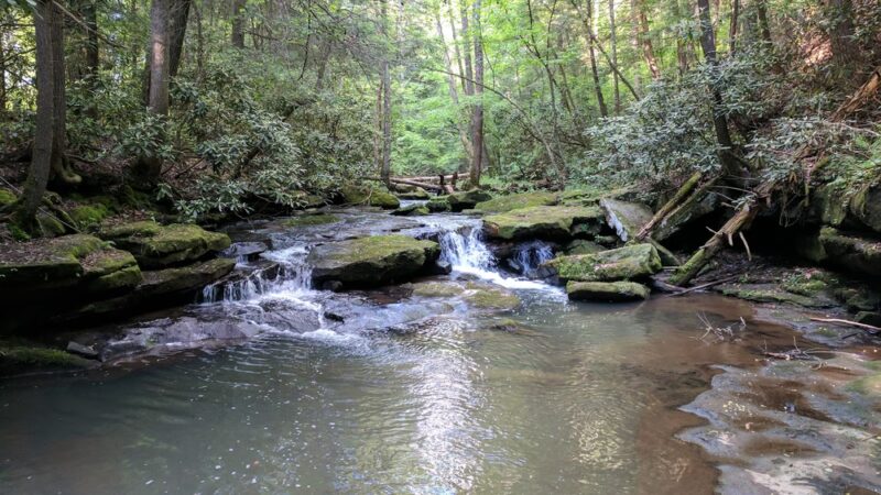 Flat Lick Falls Recreational Area - McKee, KY