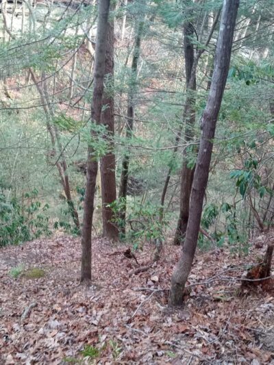 Gray Hawk Community Park - McKee, KY