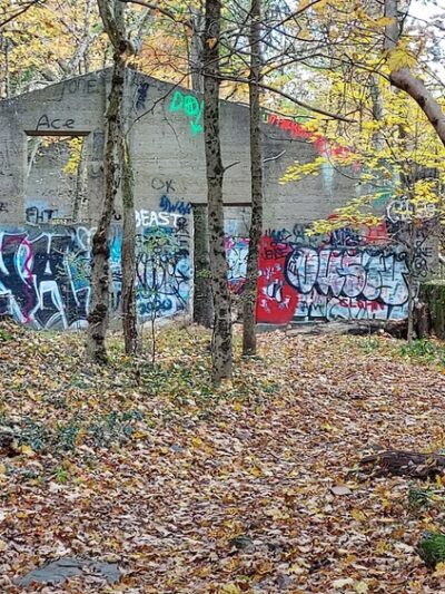 Dead Man’s Hollow Black Oak Trailhead - McKeesport, PA