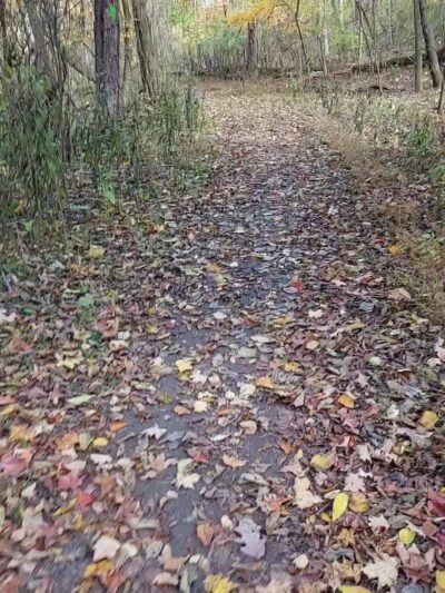 Dead Man’s Hollow Black Oak Trailhead - McKeesport, PA