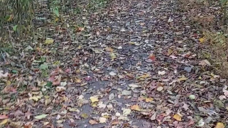 Dead Man’s Hollow Black Oak Trailhead - McKeesport, PA