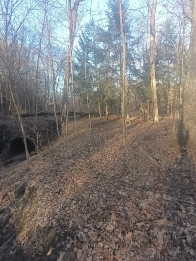 Dead Man’s Hollow Black Oak Trailhead - McKeesport, PA