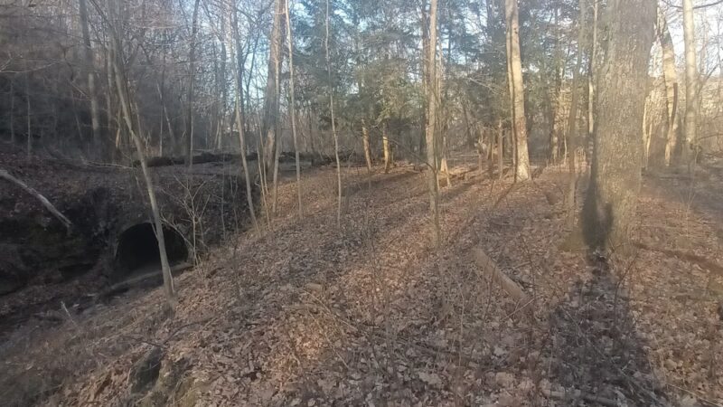 Dead Man’s Hollow Black Oak Trailhead - McKeesport, PA