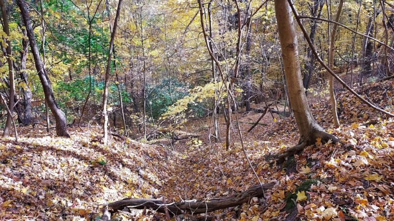 Dead Man’s Hollow Black Oak Trailhead - McKeesport, PA
