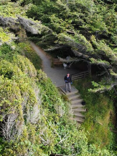 Mad River Bluffs and Dog Park parking - McKinleyville, CA