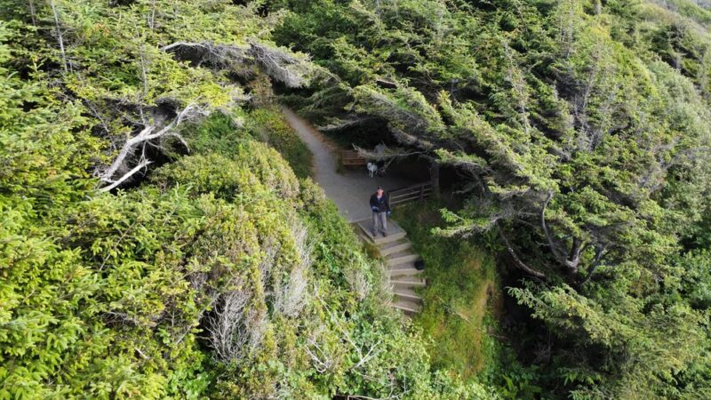 Mad River Bluffs and Dog Park parking - McKinleyville, CA