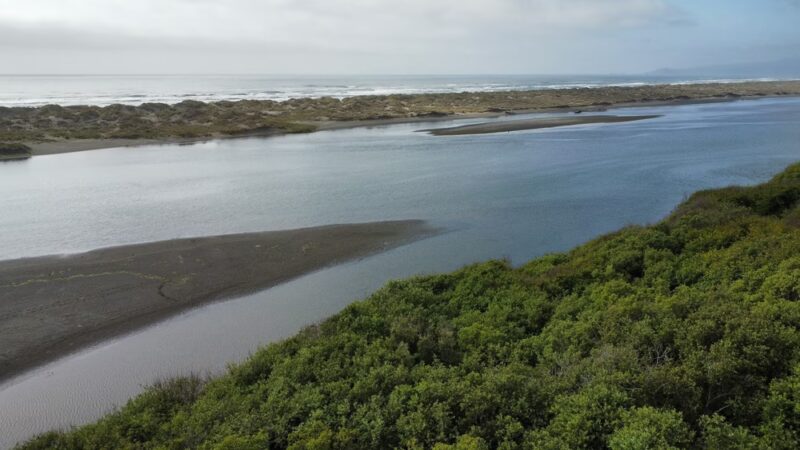 Mad River Bluffs and Dog Park parking - McKinleyville, CA