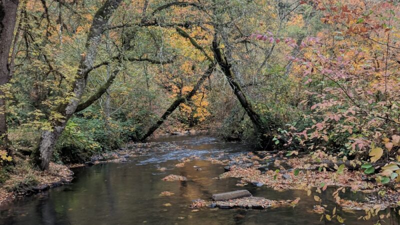 Huber Park - McMinnville, OR