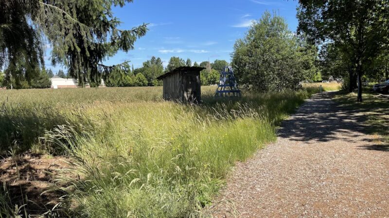 Linfield’s Wellness Trail - McMinnville, OR