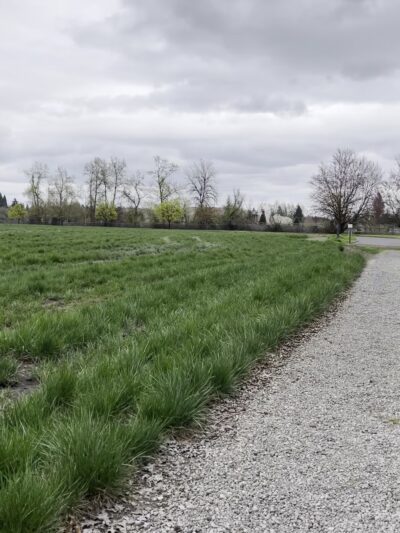 Linfield’s Wellness Trail - McMinnville, OR